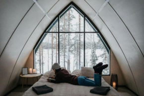 Luontovire Lumous Forest Hut Hankasalmi